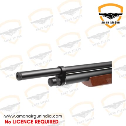 Benjamin Marauder Gallery Aman Airgun India (1)