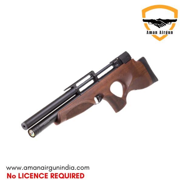 Diana Skyhawk PCP Aman Airgun India (2)